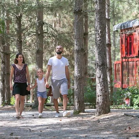Holiday park Village - Defiplanet' Dienne (Vienne)