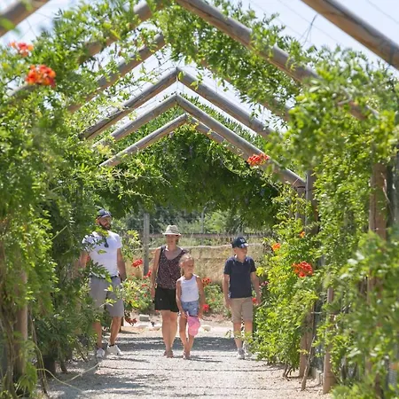 Domaine De - Villages Dienné
