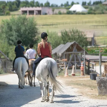 Domaine De - Villages 홀리데이파크