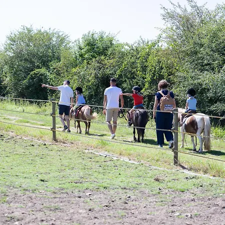 Village - Defiplanet'