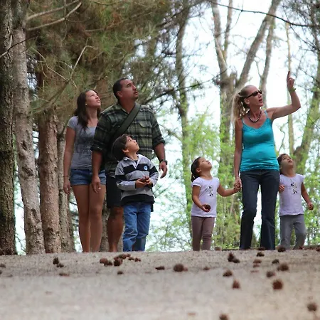 Domaine De - Villages *