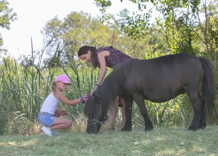 Domaine De - Villages * Dienne (Vienne)