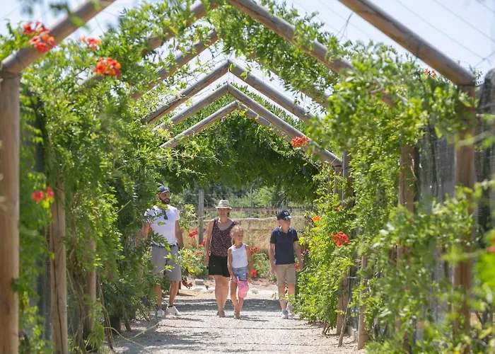 Domaine De - Villages Dienne (Vienne)