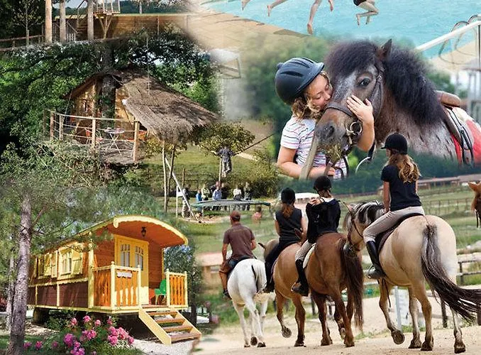 Domaine De - Villages * Dienne (Vienne)